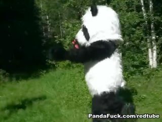 Rød ridning panser knullet av panda