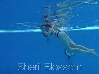 Sheril blossom lielisks krievi zem ūdens, hd pieaugušais filma bd