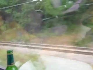 Flashing in public train