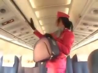 Desirable stewardess zuigen manhood voor cunnilingus