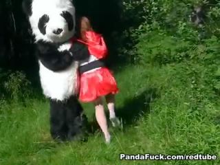 Rdeča jahanje pokrov zajebal s panda